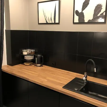Pobuudka Iv Plebanska Z Widokiem Na Rynek Apartament Gliwice