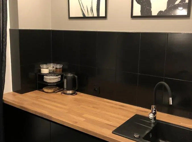 Pobuudka Iv Plebańska Z Widokiem Na Rynek Apartament Gliwice